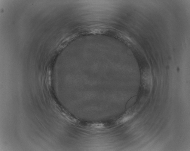 X0000067900554200604271855