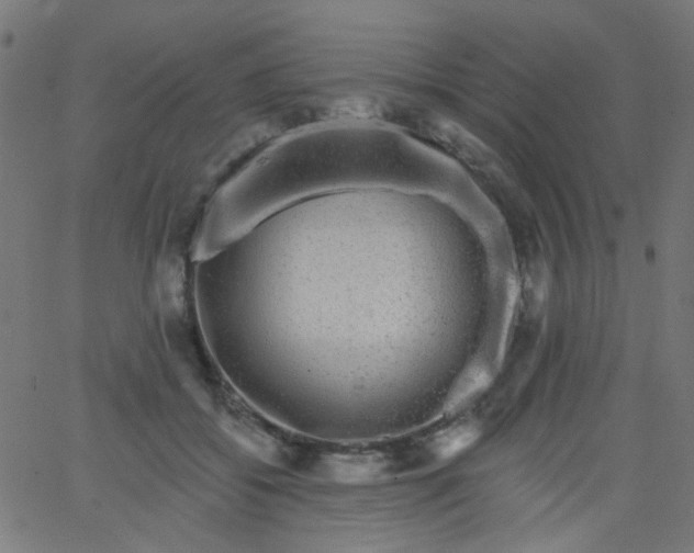 X0000067900556200604271855