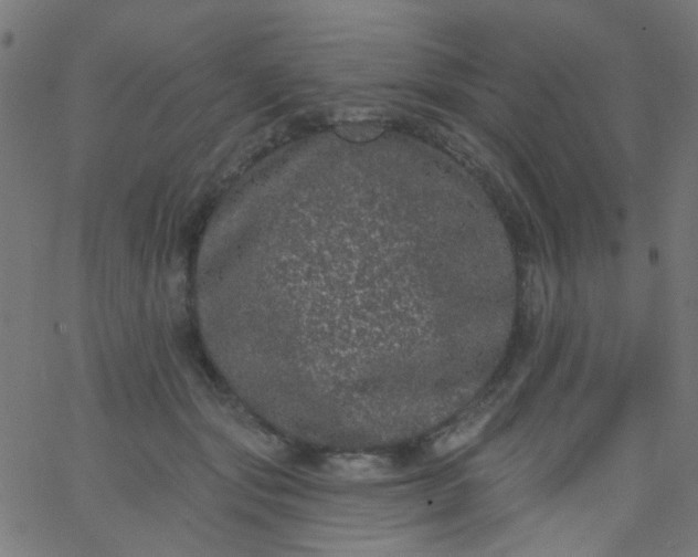 X0000067900557200604271855