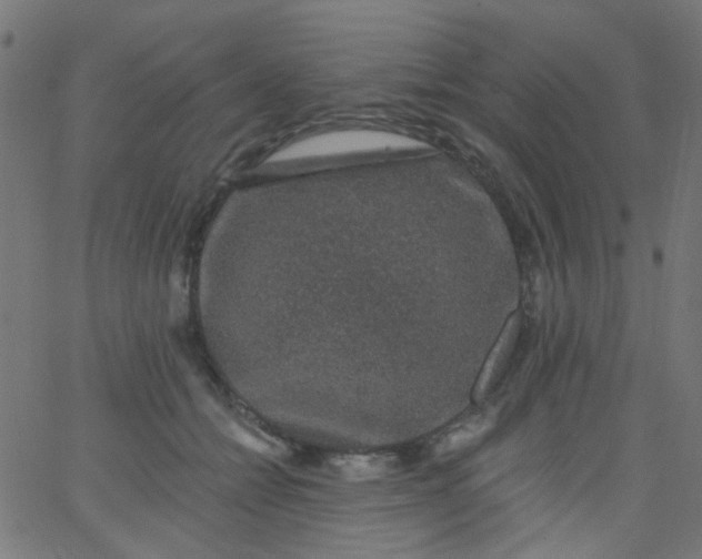 X0000067900558200604271855