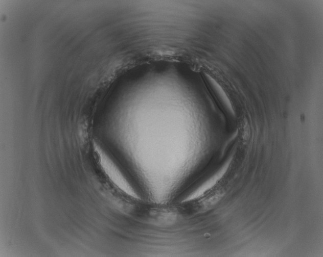 X0000067900559200604271855