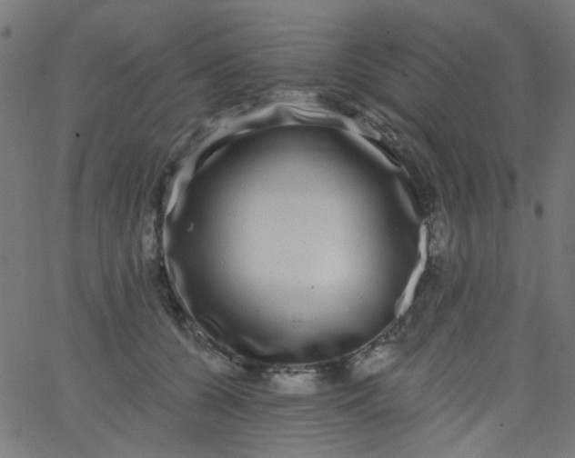 X0000067900560200604271855