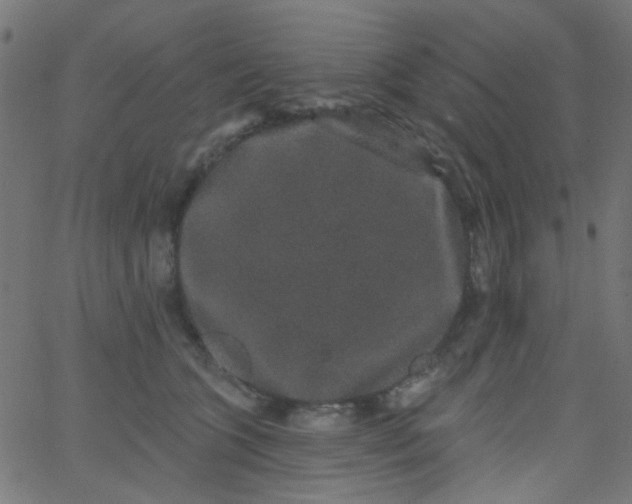 X0000067900563200604271855