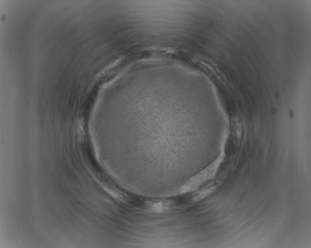 X0000067900564200604271855