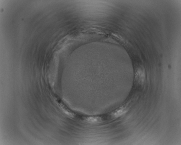 X0000067900566200604271855