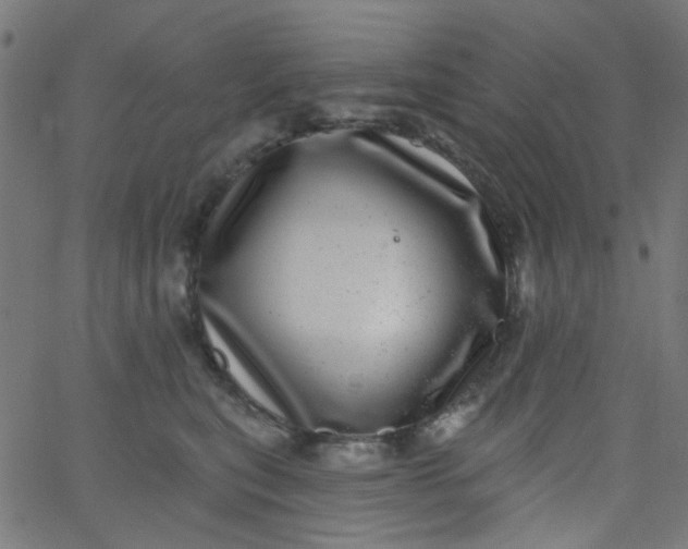 X0000067900567200604271855