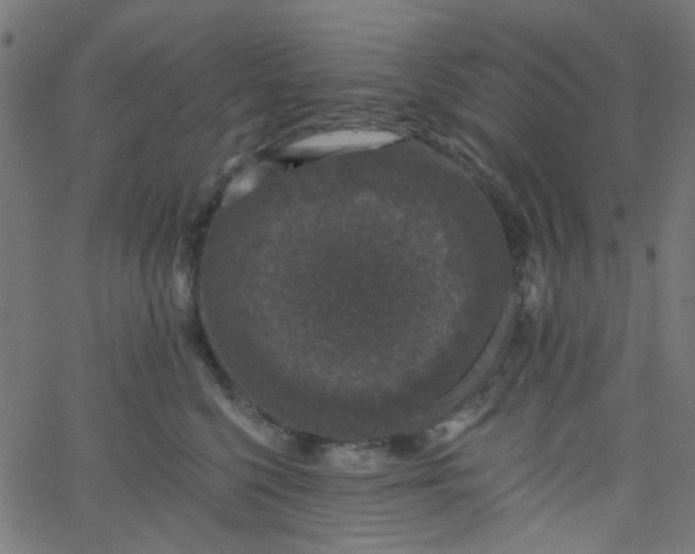 X0000067900568200604271855