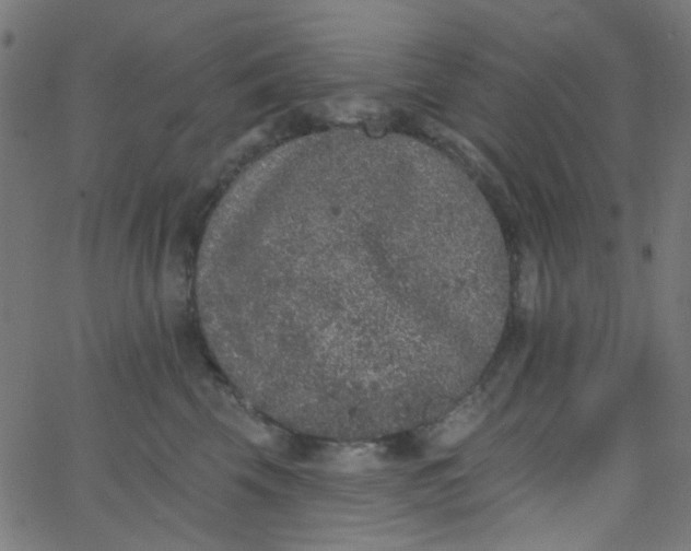 X0000067900569200604271855