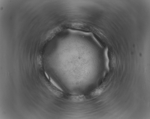 X0000067900571200604271855