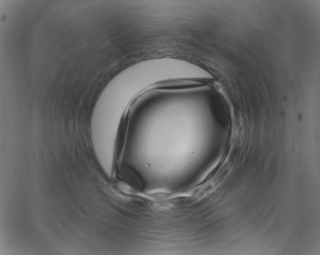 X0000067900574200604271855