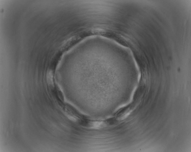 X0000067900575200604271855