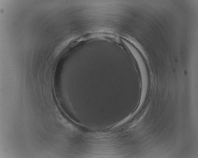 X0000067900577200604271855