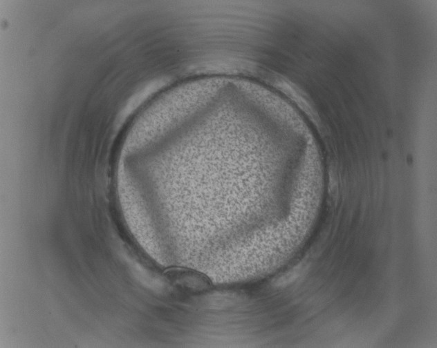 X0000067900578200604271855