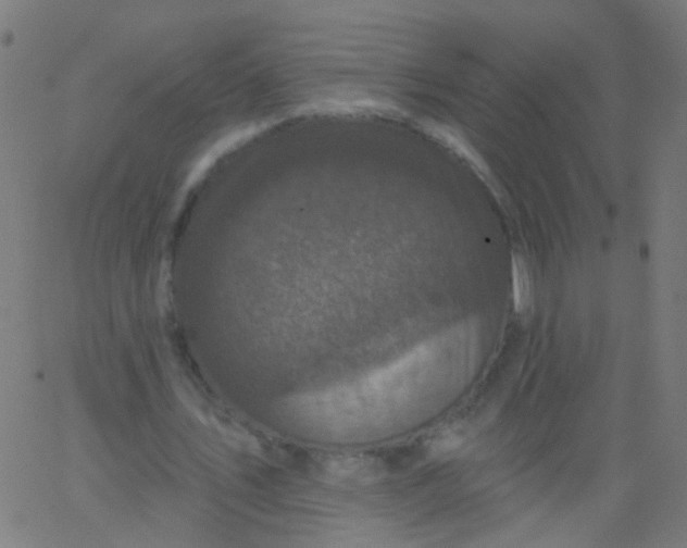 X0000067900579200604271855