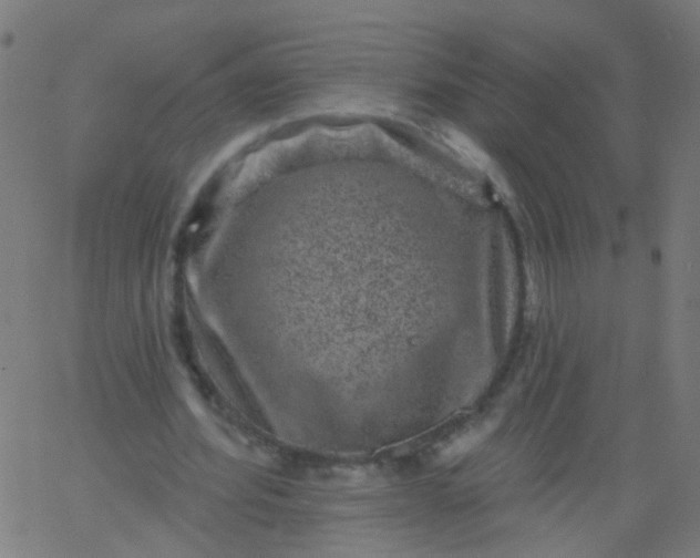 X0000067900580200604271855