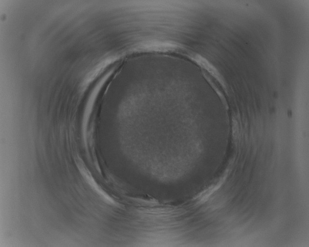 X0000067900581200604271855