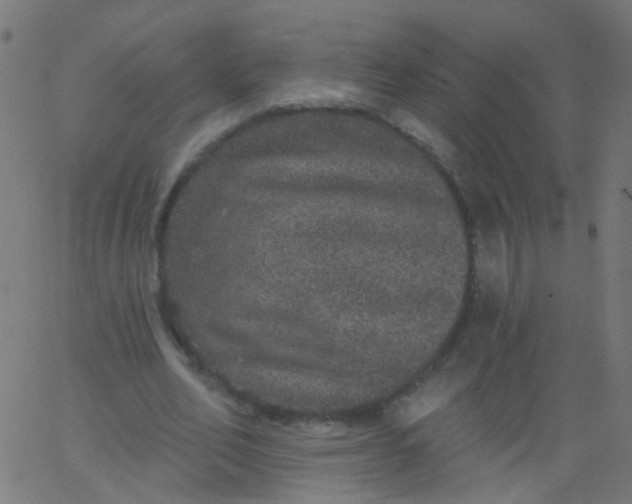 X0000067900582200604271855