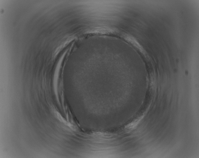 X0000067900585200604271855