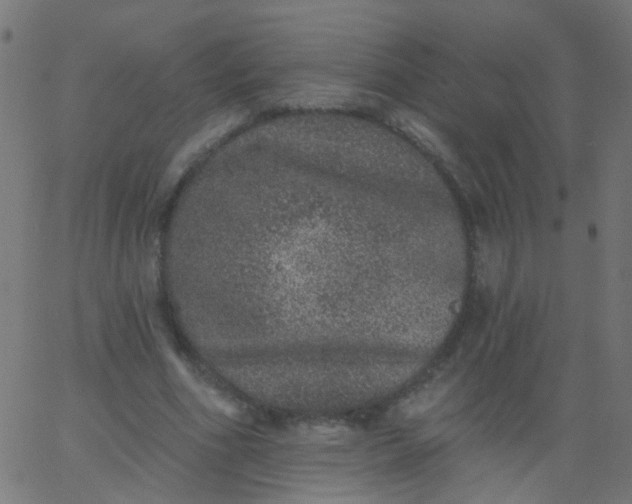 X0000067900586200604271855