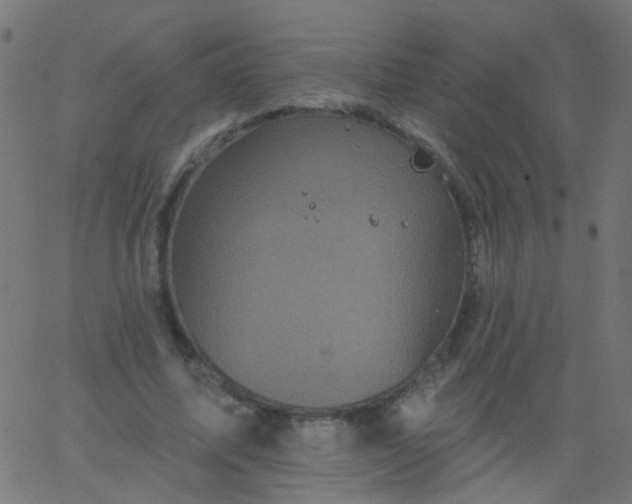 X0000067900587200604271855