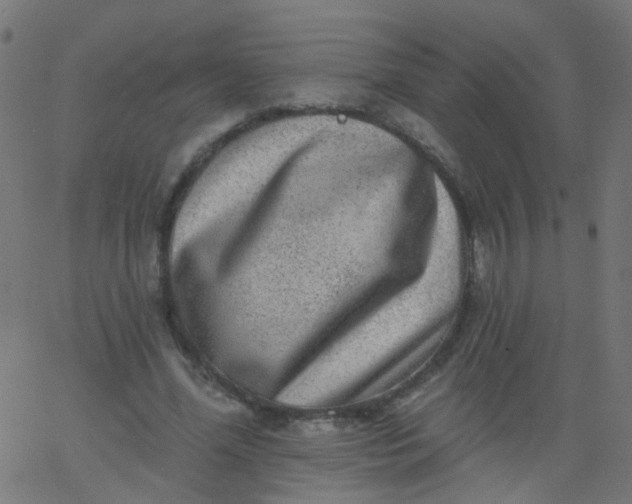 X0000067900588200604271855