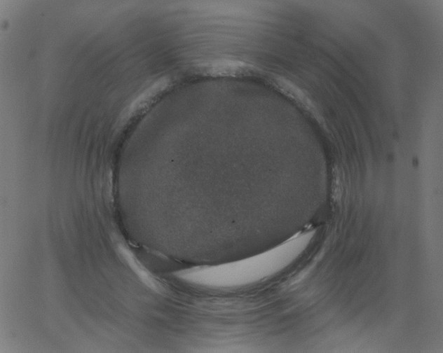 X0000067900589200604271854