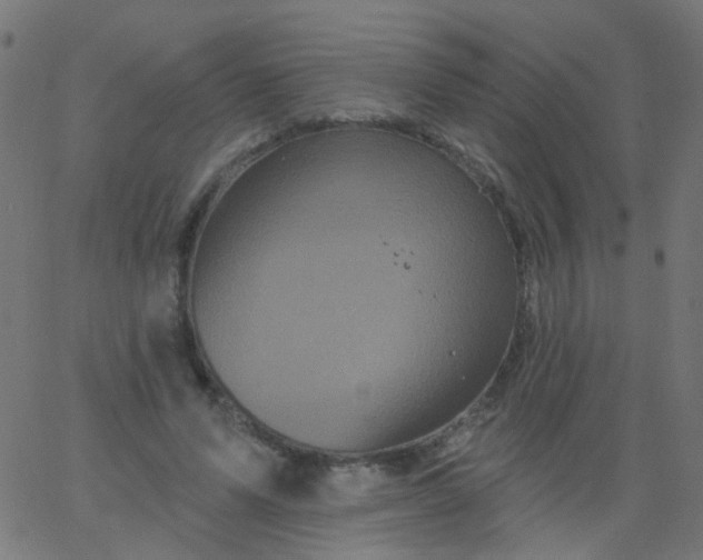 X0000067900591200604271854