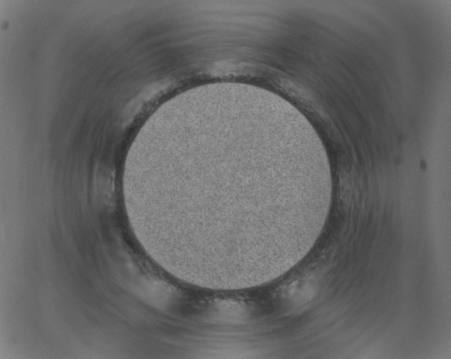 X0000067900592200604271854