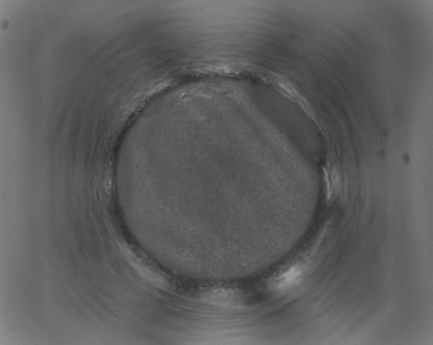 X0000067900593200604271854