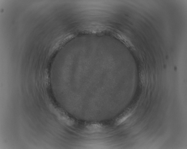 X0000067900594200604271854