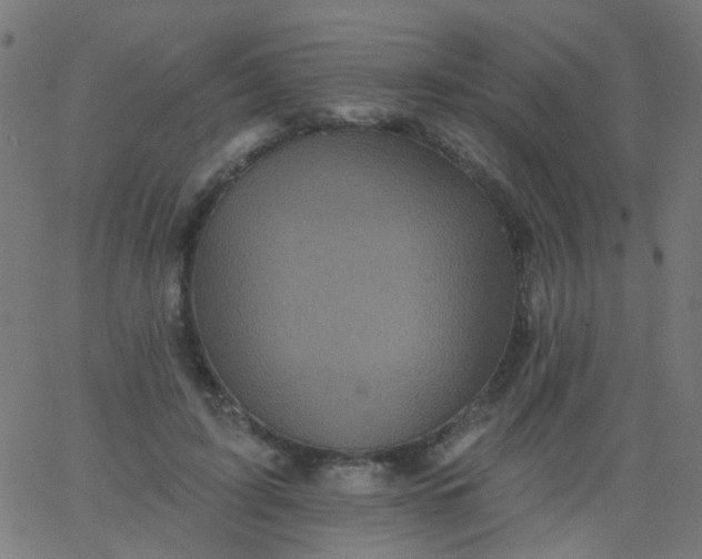 X0000067900595200604271854