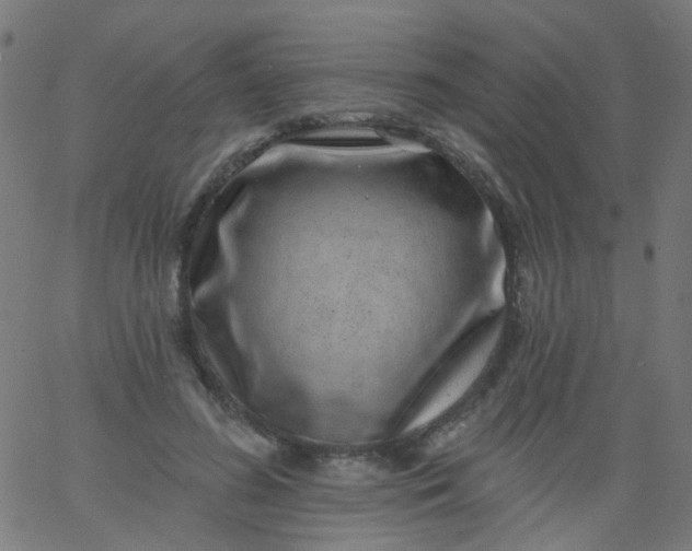 X0000067900596200604271854