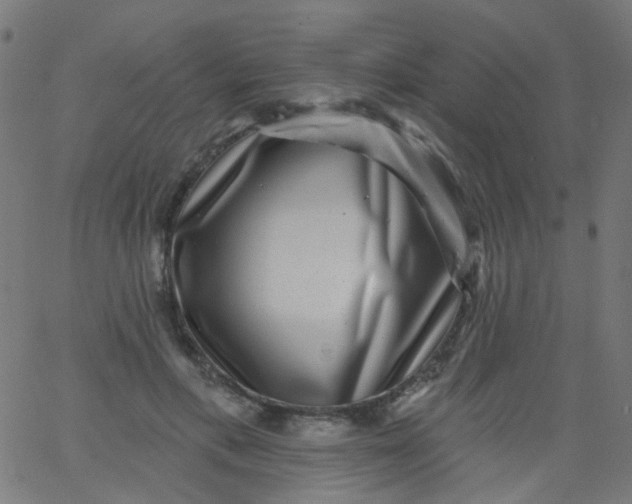 X0000067900597200604271854