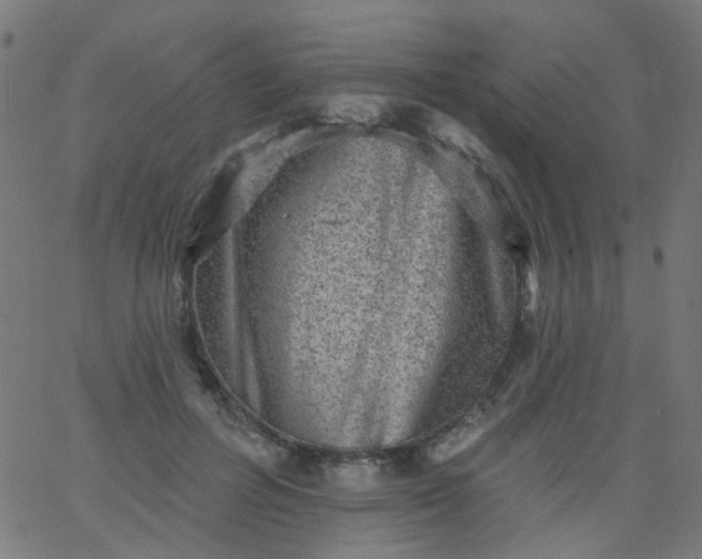 X0000067900600200604271854