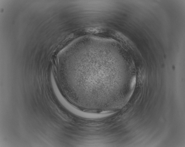 X0000067900601200604271854