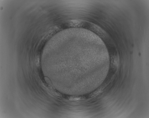 X0000067900602200604271854