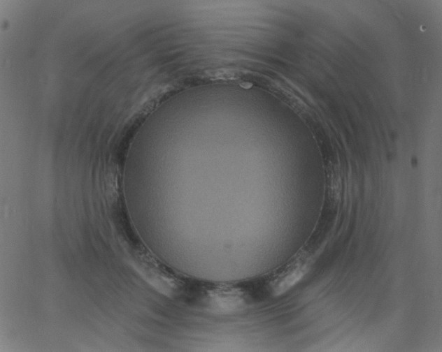 X0000067900603200604271854