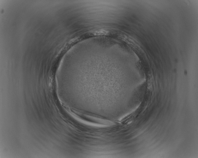 X0000067900604200604271854