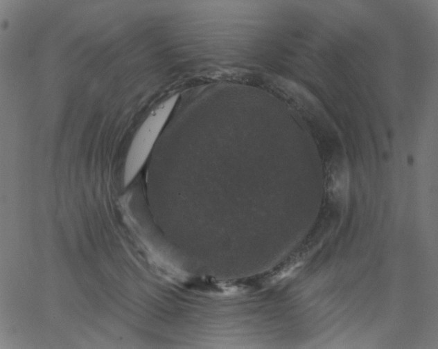 X0000067900607200604271854