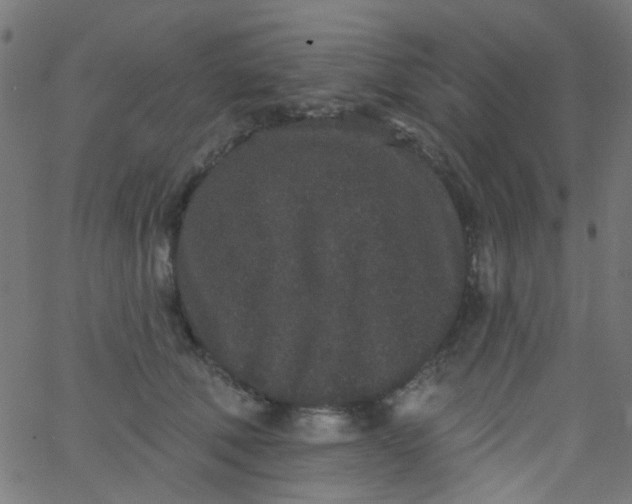 X0000067900610200604271854