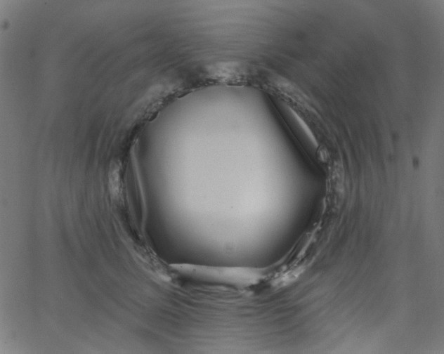 X0000067900611200604271854