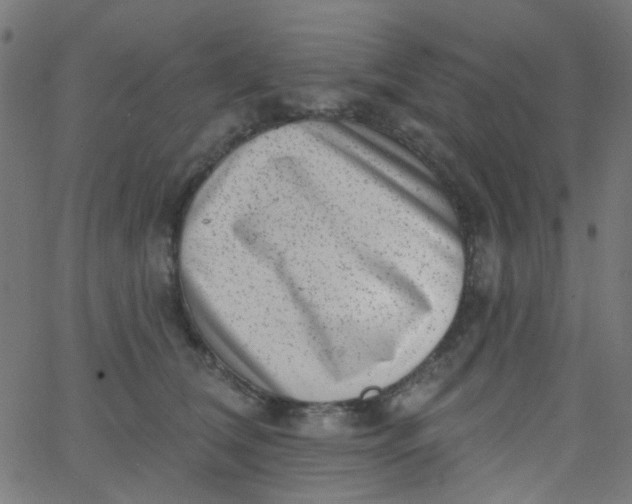 X0000067900612200604271854