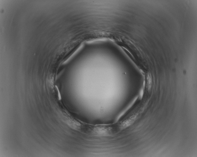 X0000067900613200604271854