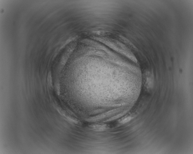 X0000067900615200604271854