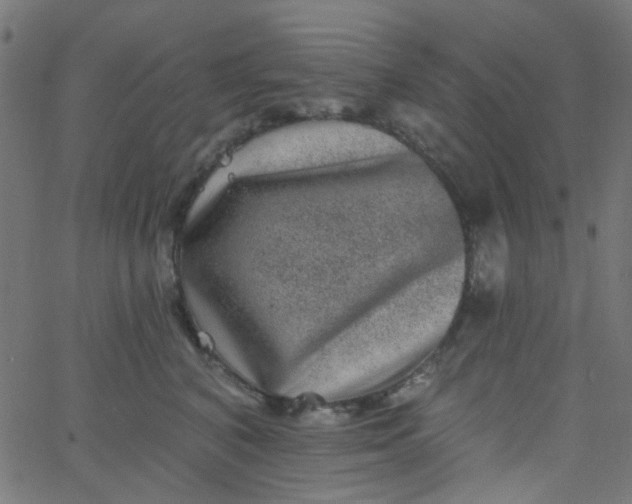 X0000067900616200604271854