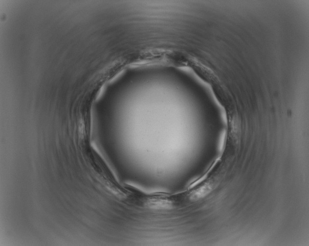 X0000067900617200604271854