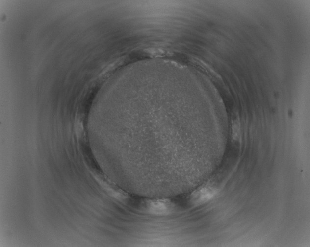 X0000067900618200604271854