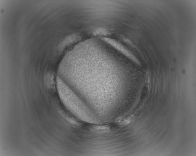 X0000067900619200604271854