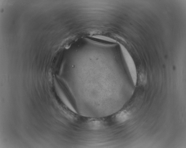 X0000067900620200604271854