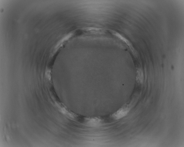 X0000067900621200604271854